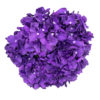 purple-bunch-hydrangea-silk-flowers