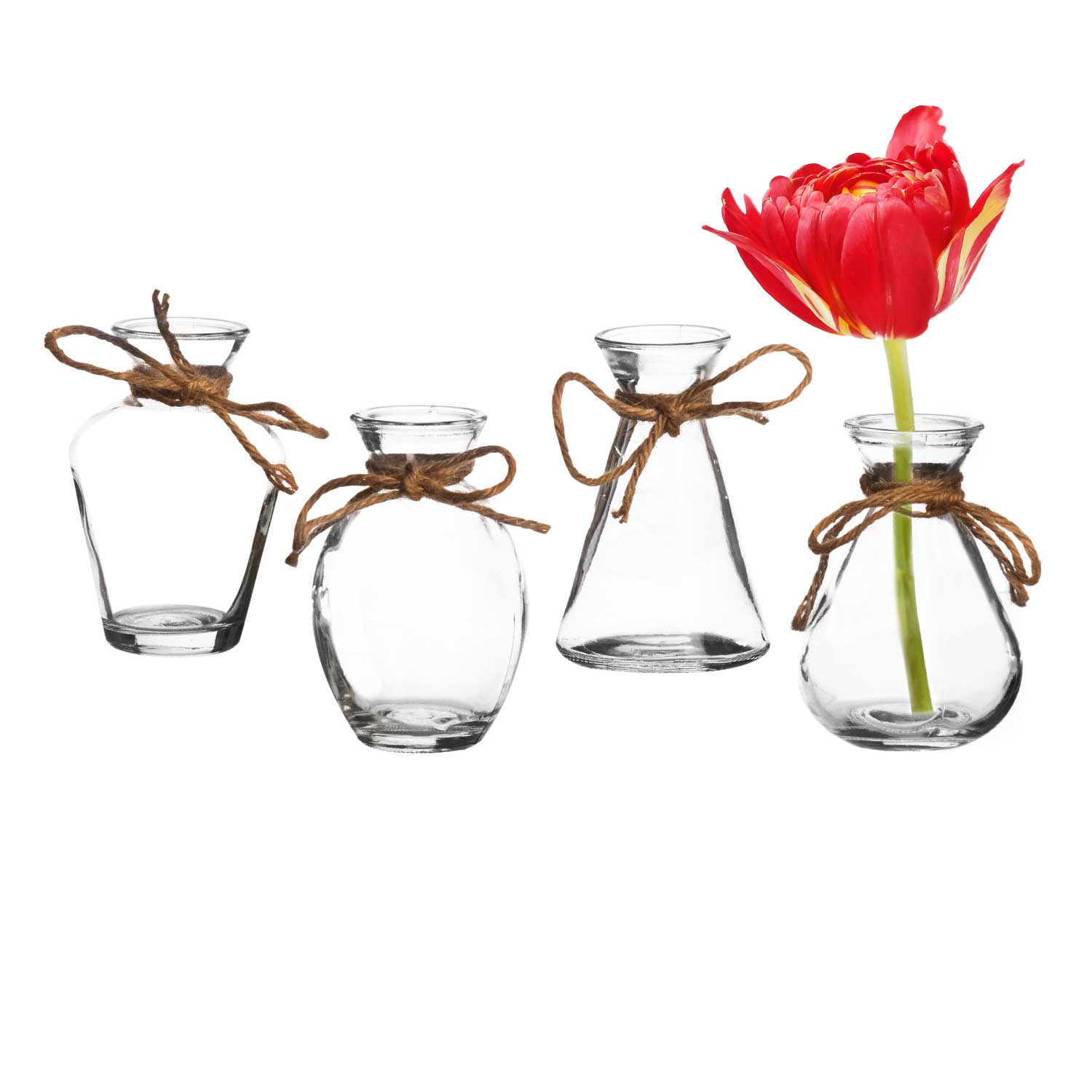 Clear Glass Bud Vase Set 4in Royal Imports 0769